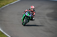 PJ-Motorsport-2019;anglesey-no-limits-trackday;anglesey-photographs;anglesey-trackday-photographs;enduro-digital-images;event-digital-images;eventdigitalimages;no-limits-trackdays;peter-wileman-photography;racing-digital-images;trac-mon;trackday-digital-images;trackday-photos;ty-croes